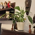 Nad Fontanną Apartament *